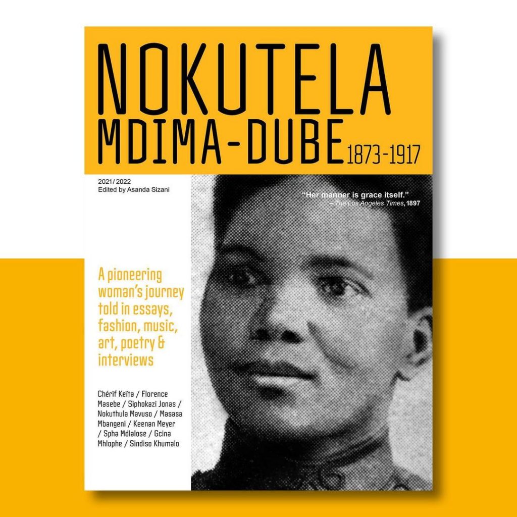Nokutela book cover